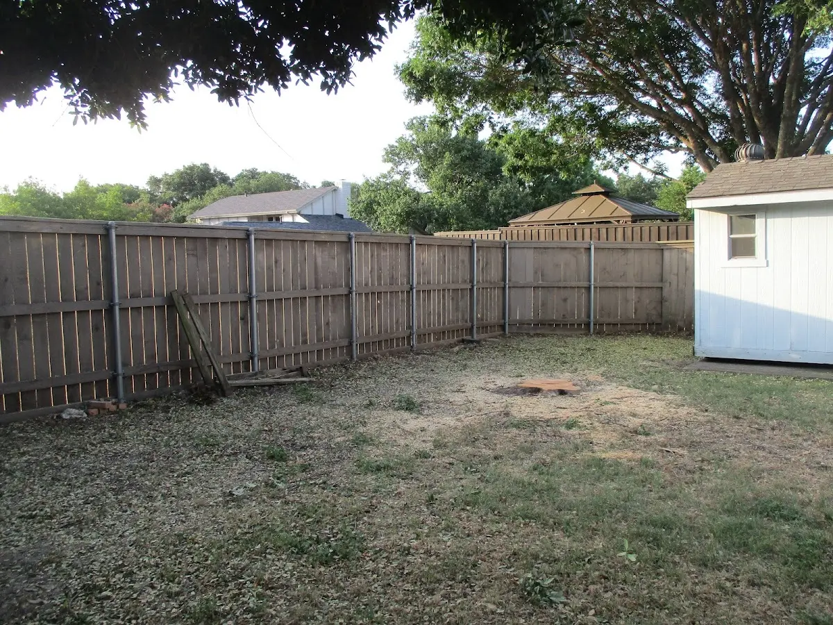 Cleared yard after professional tree removal in Stephenville