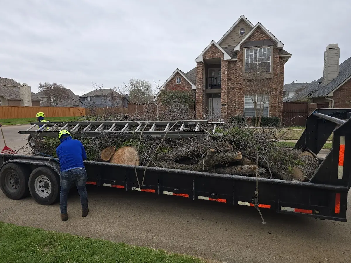 Expert Tree Fertilization with proper safety equipment in Stephenville